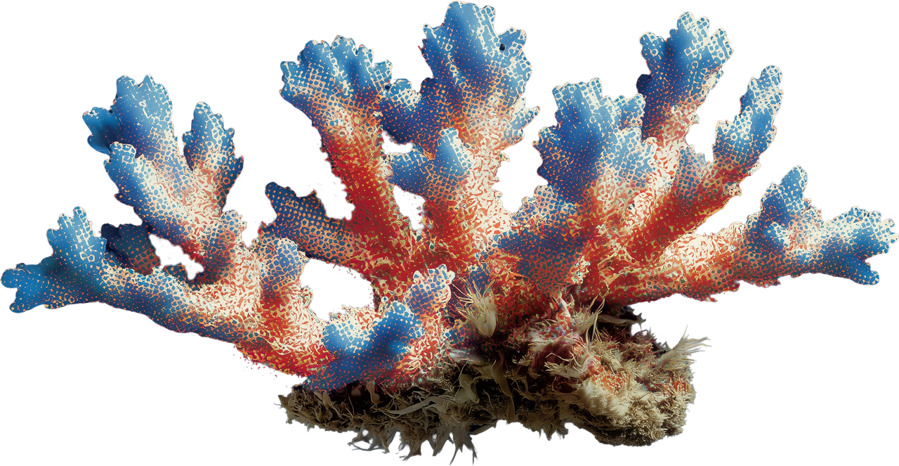 Coral cutout representing Architect's autonomous, interconnected intelligence