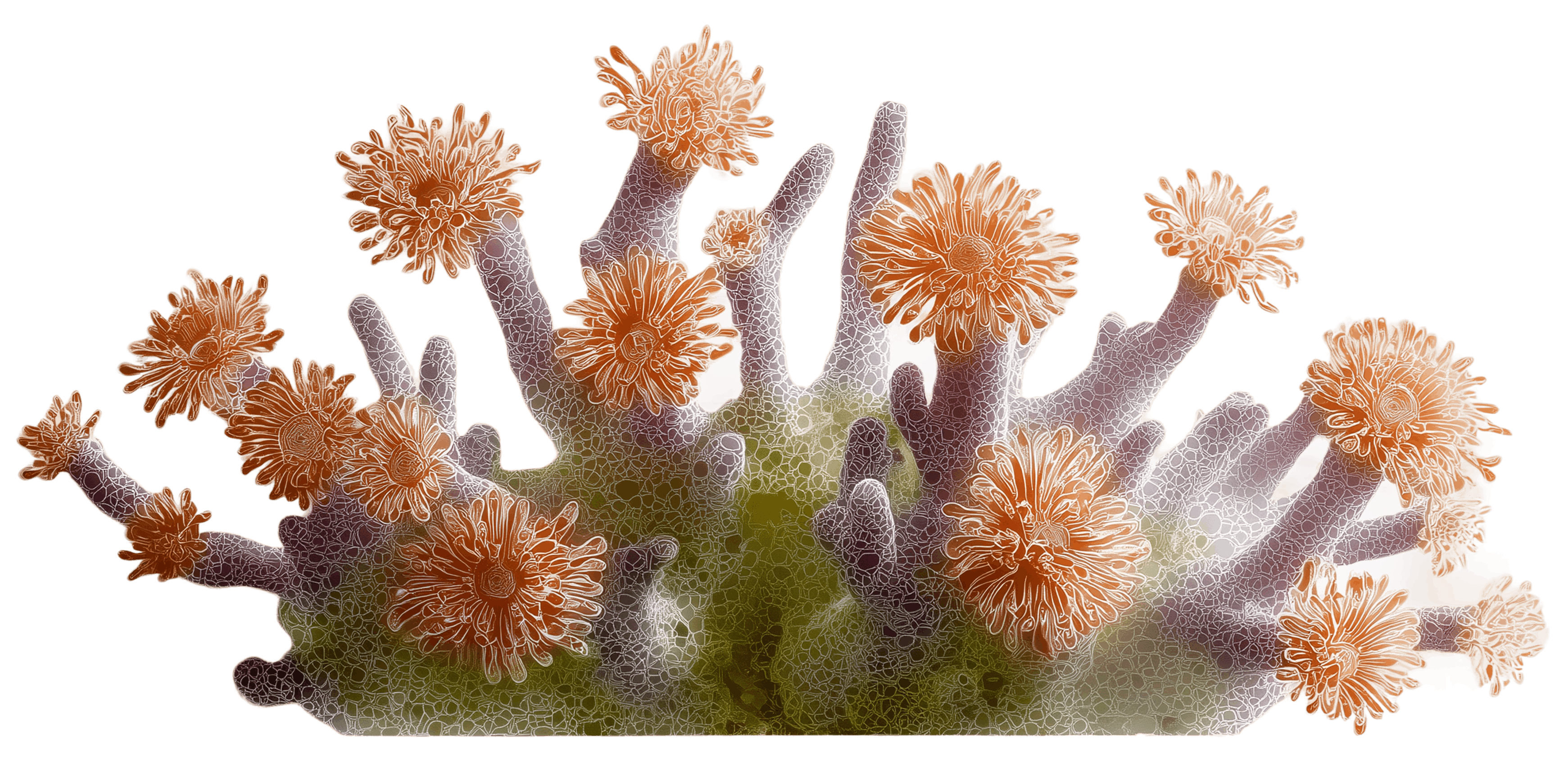 Vibrant coral with orange blooms — like Architect's intelligence, always growing and adapting