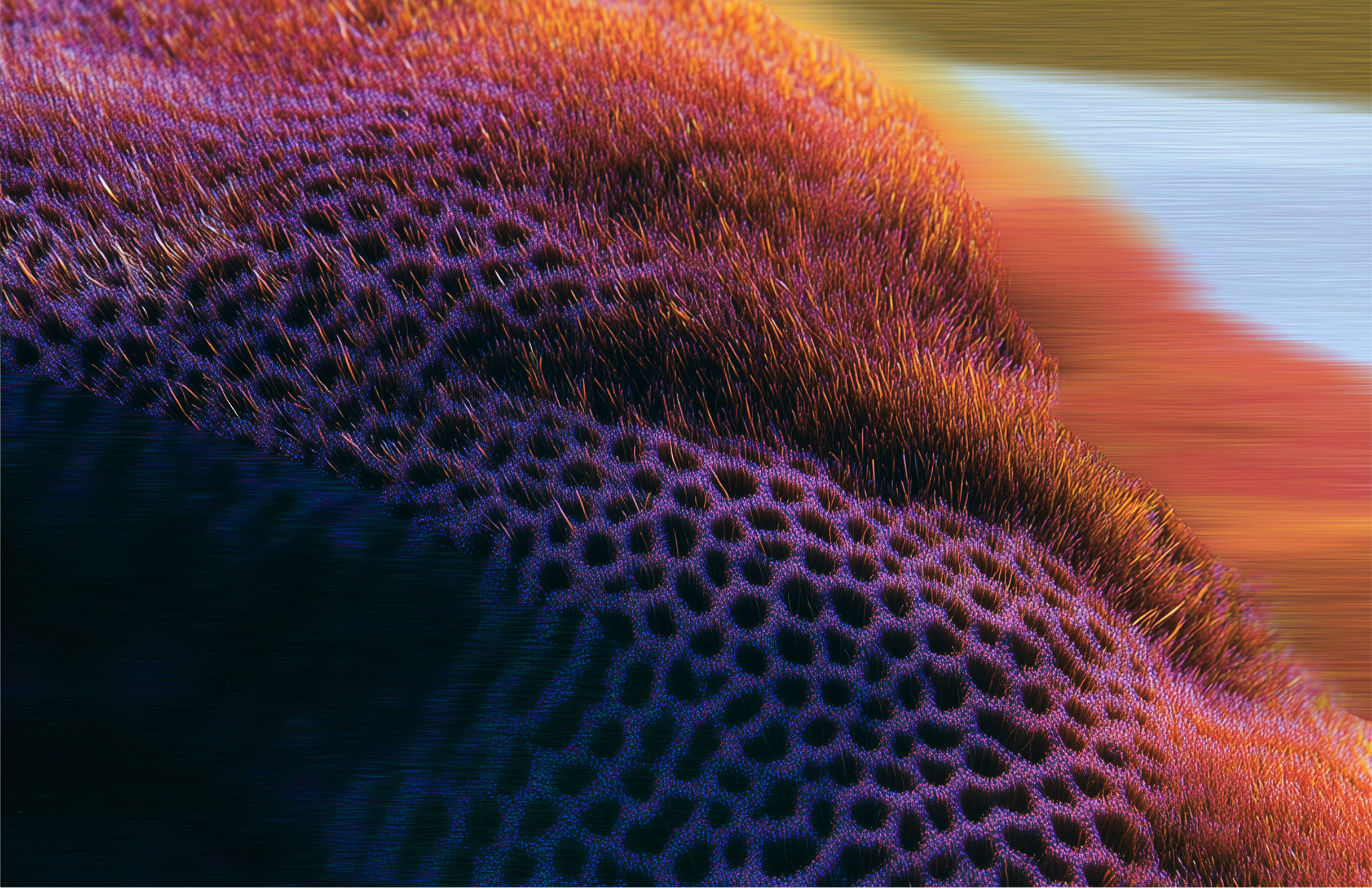 Macro coral texture in purple and amber tones