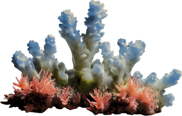 Abstract coral structures with topographical lines representing interconnected systems